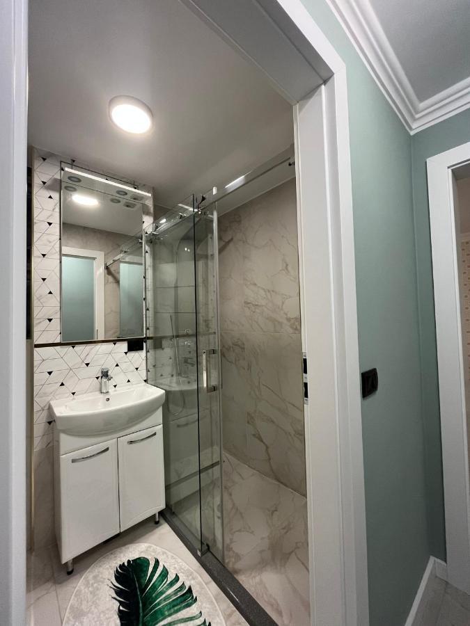Ely Apartaments Borşa المظهر الخارجي الصورة